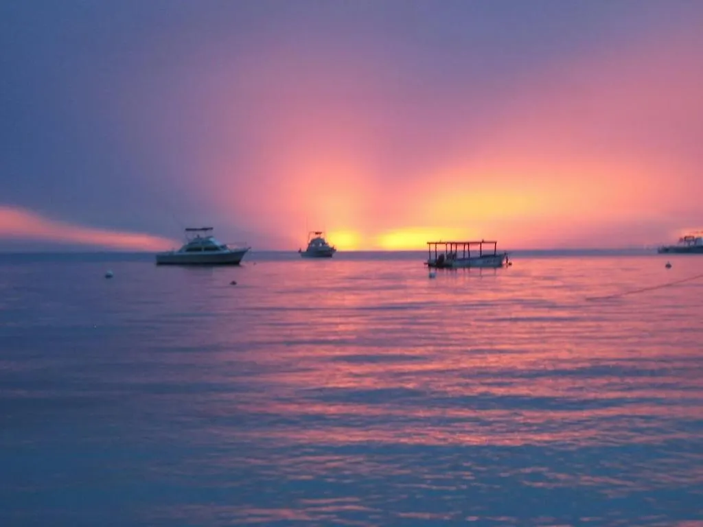 Apartman Amazing Location! Walk To Town, Beach & Dinner - Payment Required To Reserve Ocho Rios