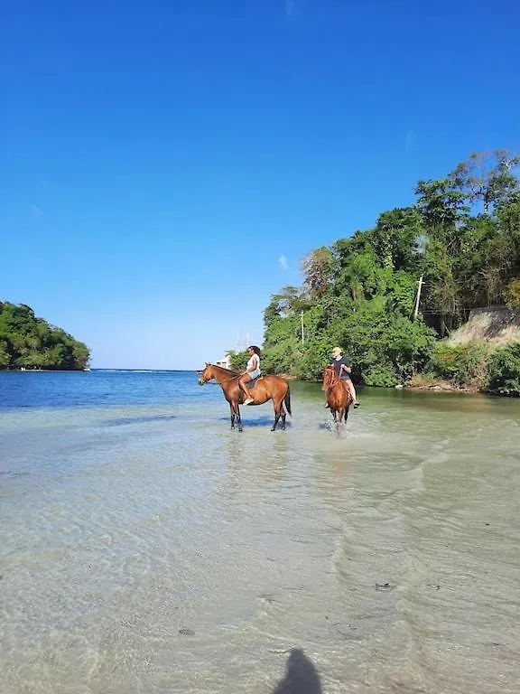 Amazing Location! Walk To Town, Beach & Dinner - Payment Required To Reserve Ocho Rios Apartman