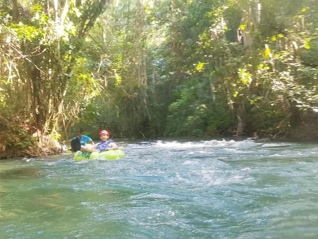 Apartman Amazing Location! Walk To Town, Beach & Dinner - Payment Required To Reserve Ocho Rios